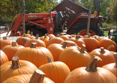 Pumpkins and Tractor